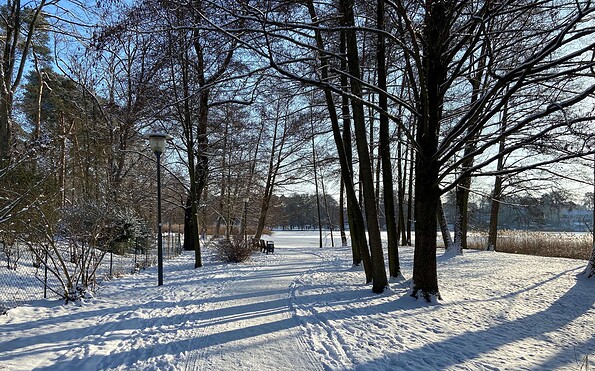 Winterspaziergang entlang der Uferpromenade des Scharmützelsees in Bad Saarow, Foto: Tourismusverein Scharmützelsee