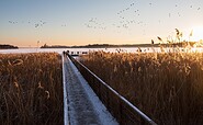 Bad Saarow am Scharmützelsee, Foto: Yorck Maecke , Lizenz: TMB-Fotoarchiv