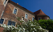 Burg Eisenhardt Bad Belzig, Foto: Bansen-Wittig