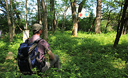 Kunstwerk &quot;Urkirche Wald - eine Meditation&quot;, Foto: Bansen-Wittig