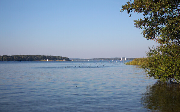 Scharmützelsee in Radlow, Foto: Katrin Riegel, Lizenz: Seenland Oder-Spree