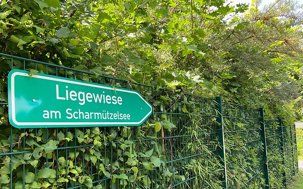 Scharmützelsee, Radlow Bathing Area, Foto: Tourismusverein Scharmützelsee