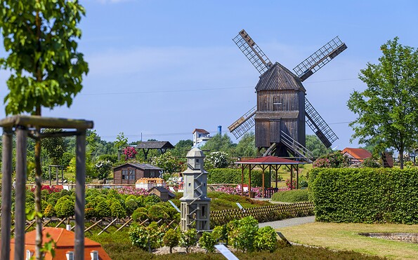 Bockwindmühle Elsterwerda, Foto: LKEE_Andreas Franke, Lizenz: LKEE_Andreas Franke