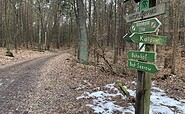 Naturlehrpfad Rauener Berge, Foto: Tourismusverein Scharmützelsee