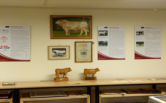 Rinderzuchtmuseum Groß Kreutz