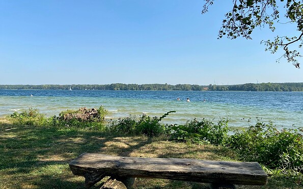 Scharmützelsee, Badestelle am Campingplatz Schwarzhorn, Foto: Tourismusverein Scharmützelsee