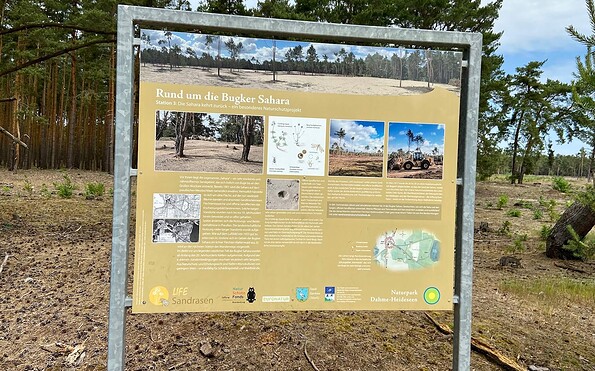 Rundwanderung Bugk und seine Sahara, Foto: Tourismusverein Scharmützelsee