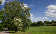 Verbindungsweg zwischen Schmerwitz und Arensnest, Foto: Bansen-Wittig