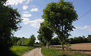 Weg nach Schmerwitz, Foto: Bansen-Wittig