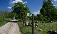 Dorfstraße in Arensnest, Foto: Bansen-Wittig