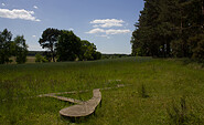 Kunstwerk Pflanzenlabyrinth, Foto: Bansen-Wittig