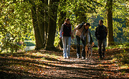 Wanderer im Waldteil des Schlossparks Wiesenburg, Foto: Jürgen Rocholl/FACE, Lizenz: Naturparkverein Hoher Fläming e.V.