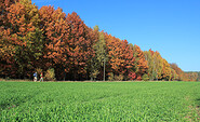 Bunter Herbstwald &quot;Alte Hölle&quot;, Foto: Bansen-Wittig