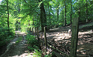 Wildschweingatter am Seminarhaus, Foto: Bansen-Wittig