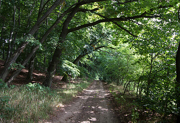 Naturpark-Rundwanderweg 72 zur "Alten Hölle"