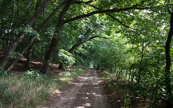 Naturpark-Rundwanderweg 72 zur "Alten Hölle"