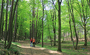 Wandern durch den Zukunftswald, Foto: Bansen-Wittig