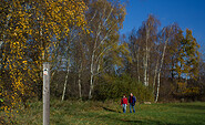 Zwischenwegweiser am herbstlichen Wanderweg, Foto: Bansen-Wittig