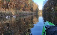 Tierwelt beim Schlabornsee, Foto: Itta Olaj, Lizenz: TV Ruppiner Seenland