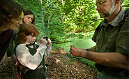 Weltnaturerbe Buchenwald Grumsin, Foto: Hurtienne/Uckermark, Lizenz:  tmu GmbH