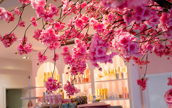Keiserwetter Blüten, Foto: Nadine Redlich , Lizenz: Potsdam Marketing und Service GmbH