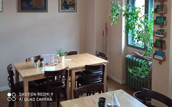 MOSES – Café. Bistro. Vinothek., Foto: Arne Sadowski