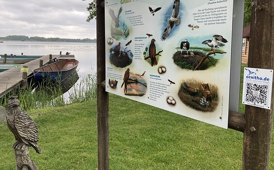 Birdwatching in Philadelphia, Foto: Emely Fischer, Lizenz: Seenland Oder-Spree