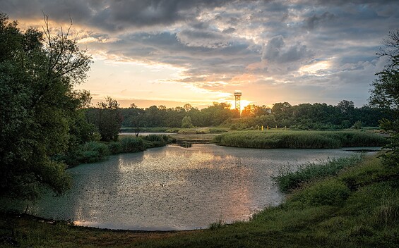 Birdwatchin an der Ziltendorfer Niederung, Foto: Florian Läufer, Lizenz: Seenland Oder-Spree