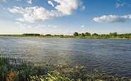 Birdwatching an der Oder bei Neuzelle, Foto: Steffen Lehmann, Lizenz: TMB-Fotoarchiv
