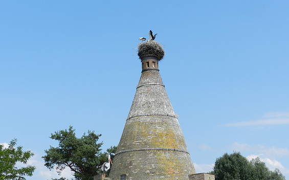 Storchenturm Altgaul