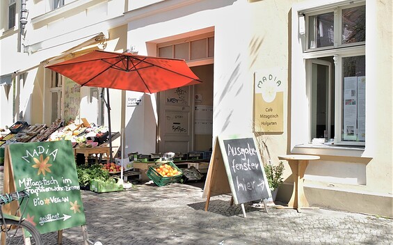 Madia, Foto: Stephanie Kalz, Lizenz: PMSG