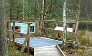 Holzsteg am Moorerlebnispfad, Foto: Lisa Brehmer, Lizenz: Tourismusverband Ruppiner Seenland