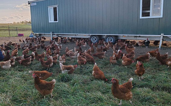 Farm Shop Giese, Foto: Tanja Giese