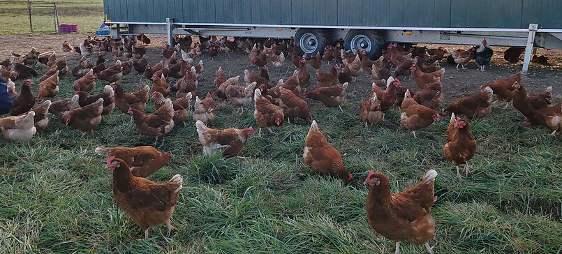 Farm Shop Giese