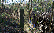 Historischer preußisch-sächsischer Grenzstein am Buffbach, Foto: Bansen-Wittig