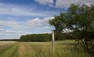 Zwischenwegweiser, Foto: Bansen-Wittig