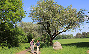 Wanderer am Kunstwerk &quot;Steinschlange&quot;, Foto: Bansen-Wittig