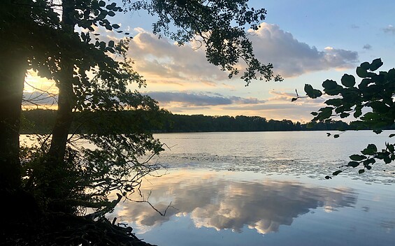 Versteck am Caputher See, Foto: Schiffmann