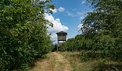 Vogelbeobachtungsturm an den Ungeheuerwiesen, Foto: Rita Maschke, Lizenz: Rita Maschke