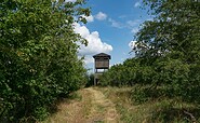 Vogelbeobachtungsturm an den Ungeheuerwiesen, Foto: Rita Maschke, Lizenz: Rita Maschke