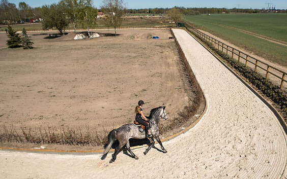 Teaching at Hot Bernadotte, Foto: Hof Bernadotte GbR