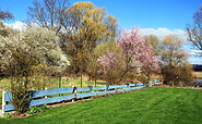 Garten, Foto: René Wallenfang