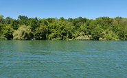 Kriensee (fishing lake), Foto: Michelle Geigenmüller, Lizenz: Seenland Oder-Spree