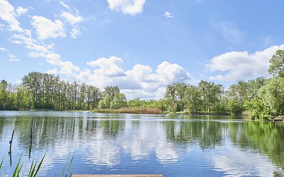 Steuersbruch (fishing lake), Foto: Michelle Geigenmüller, Lizenz: Seenland Oder-Spree