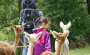 Alpakawanderung, Foto: Bettina Döppner, Lizenz: Franziska Ast