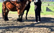 Auszeit mit Pferden, Foto: Valena Fürstenberg, Lizenz: Seenland Oder-Spree