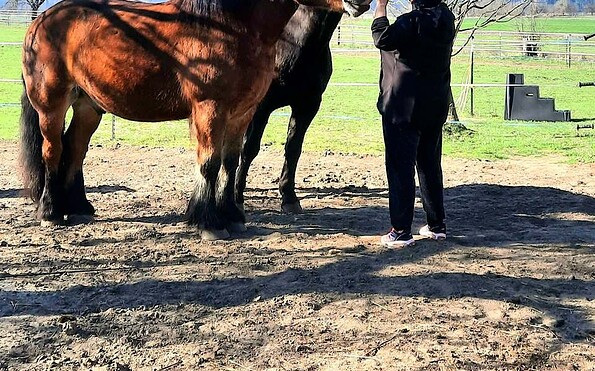time out with horses, Foto: Valena Fürstenberg, Lizenz: Seenland Oder-Spree