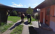 Horses on the farm, Foto: Valena Fürstenberg, Lizenz: Seenland Oder-Spree