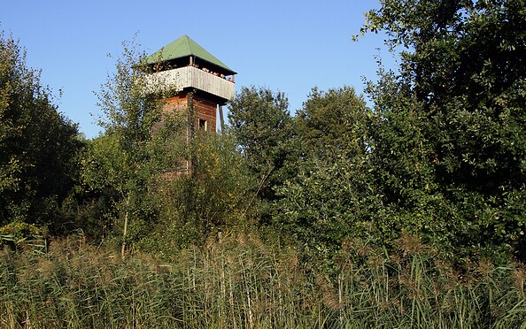 Observationtower &quot;Kranichturm&quot; am Borcheltsbusch, Foto: Ralf Donat, Lizenz: Heinz Sielmann Stiftung