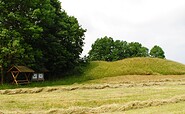 Slavic castle wall &quot;Freesdorfer Borchelt&quot;, Foto: Claudia Donat, Lizenz: Naturpark Niederlausitzer Landrücken